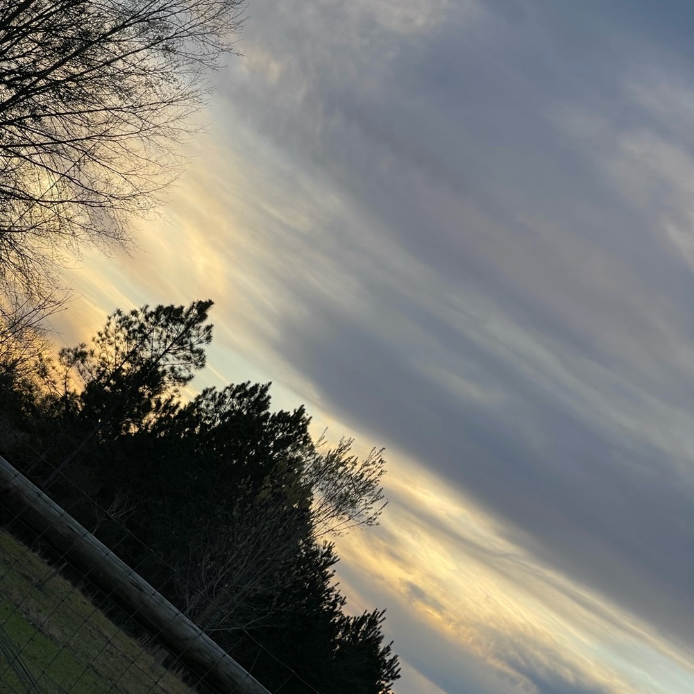 ☀️SUMMER🌤️ - Picture 2 of 4